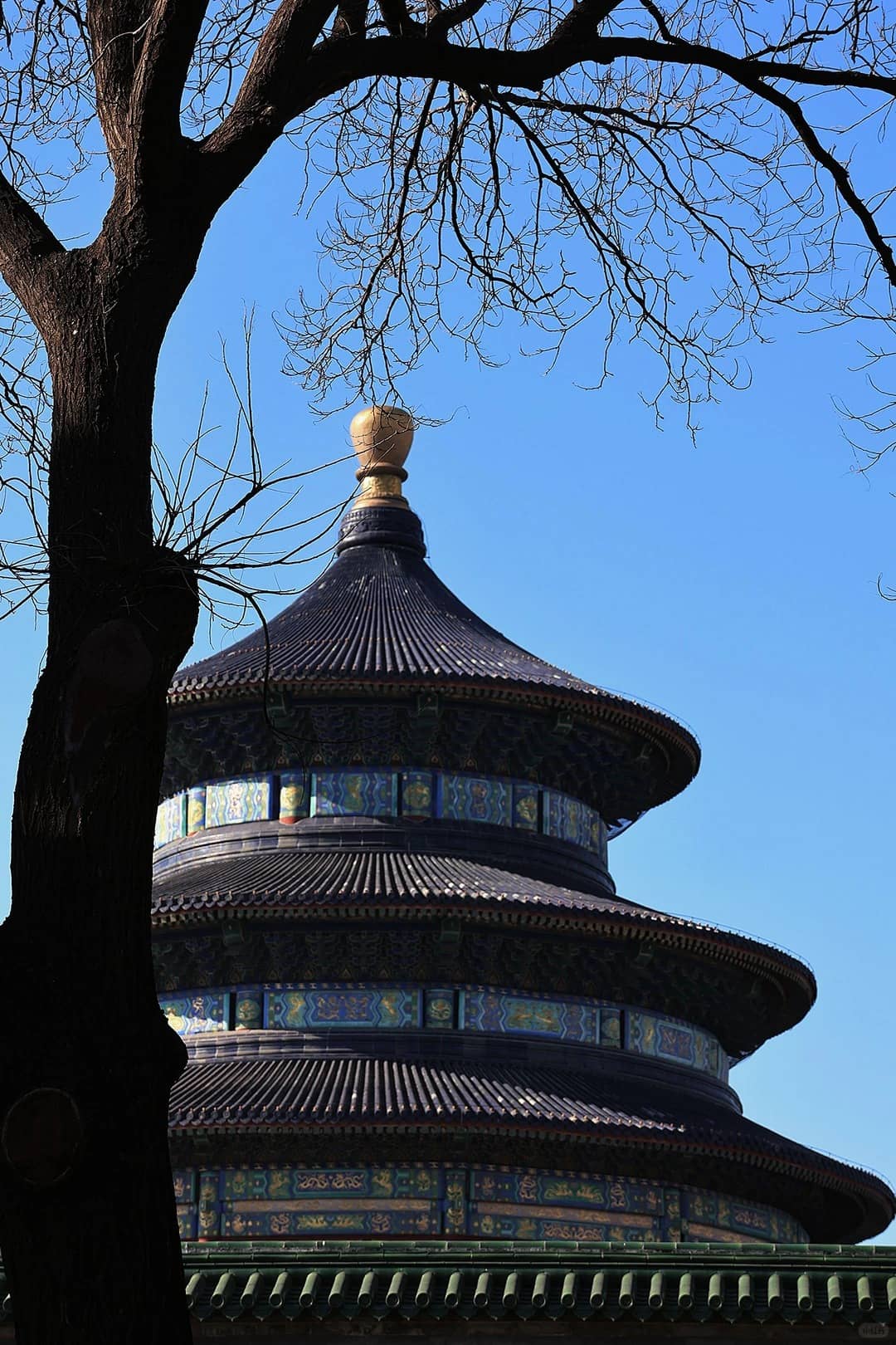 Temple of Heaven冬季蓝天备选 route photo