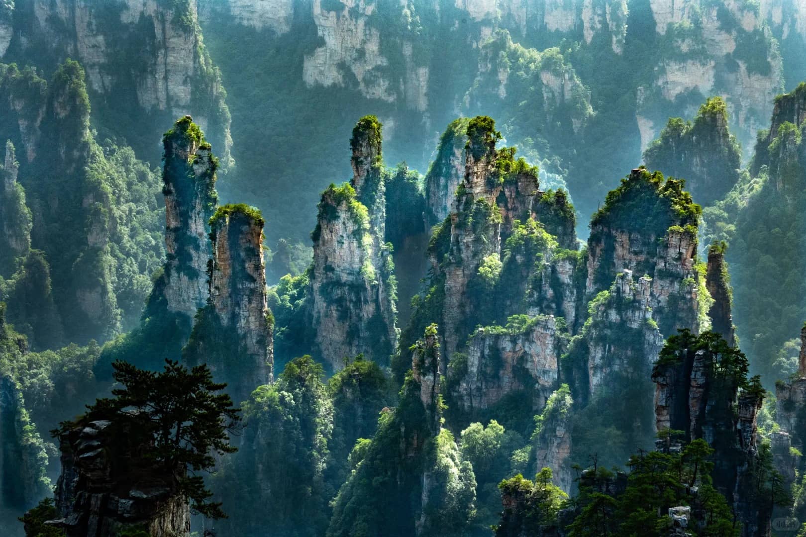 Zhangjiajie second forest scene route photo