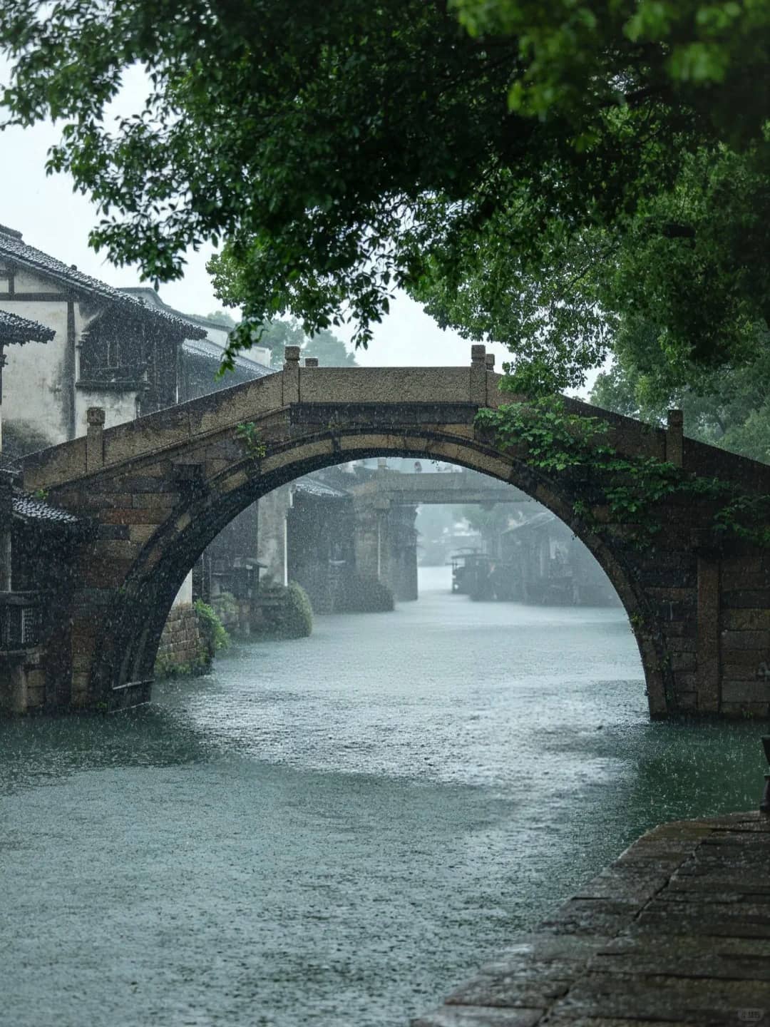 Wuzhen rainy canal walk route photo
