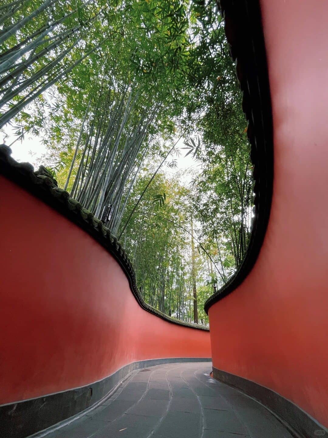 武侯祠red wall route photo