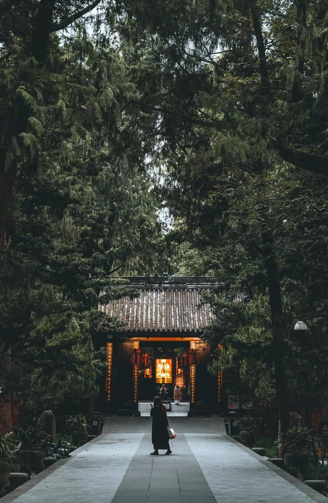 武侯祠林荫入口 route photo