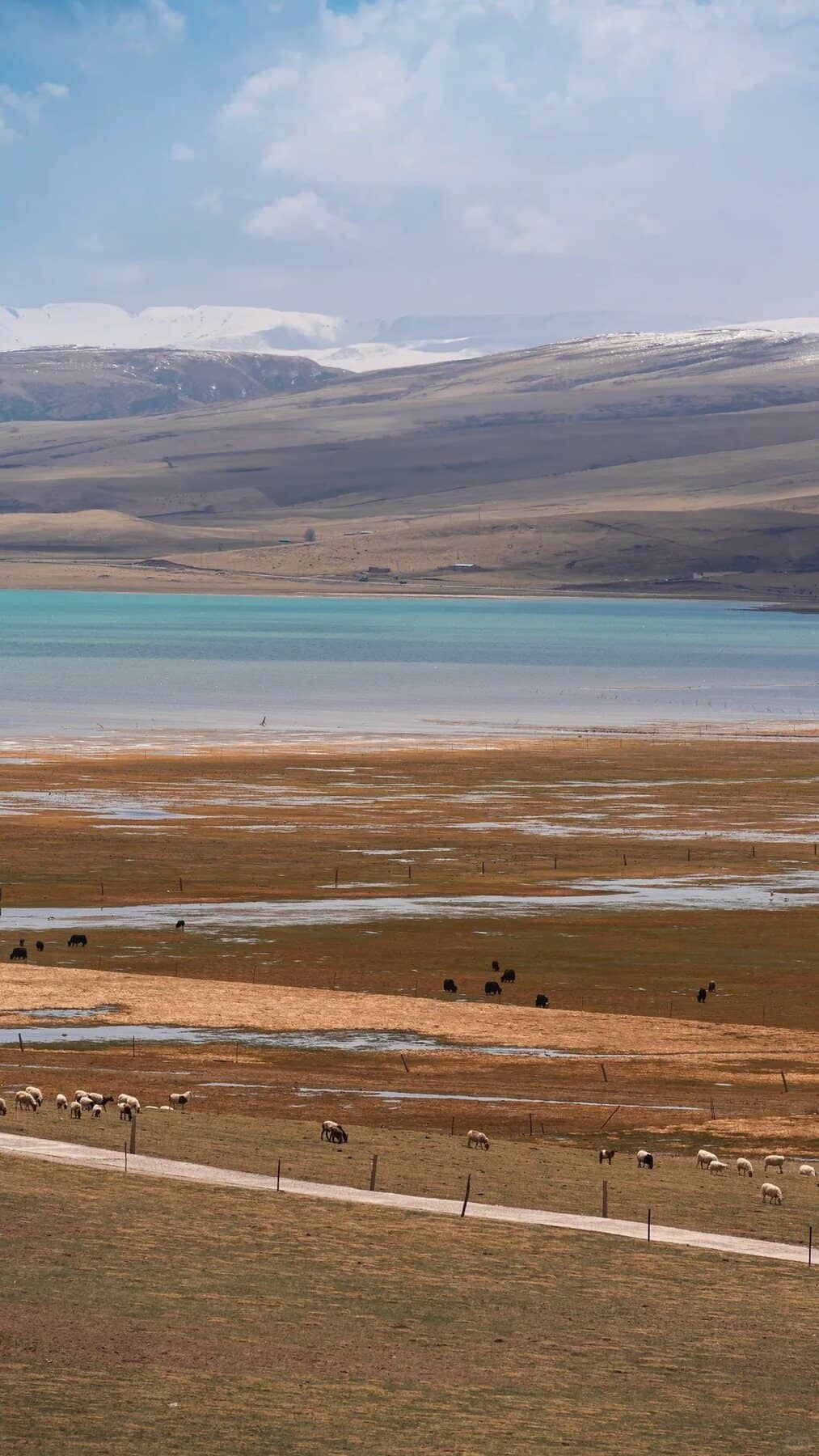 Xining to Delingharoute-side scene湖岸 route photo