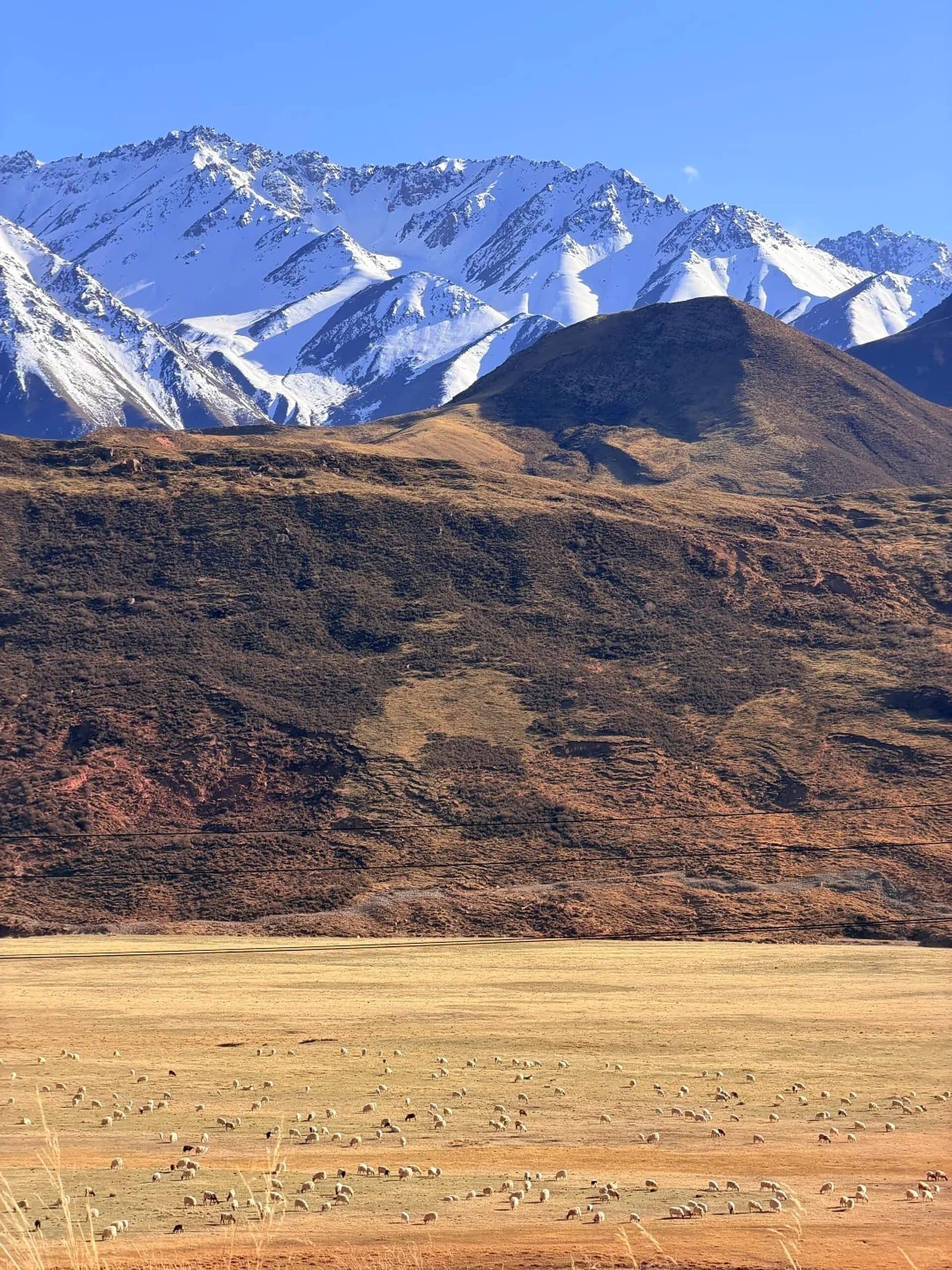 祁连雪山草场 route photo