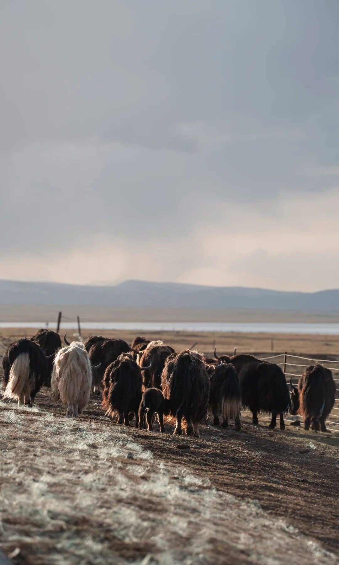 Xining to Delingharoute-side scene route photo