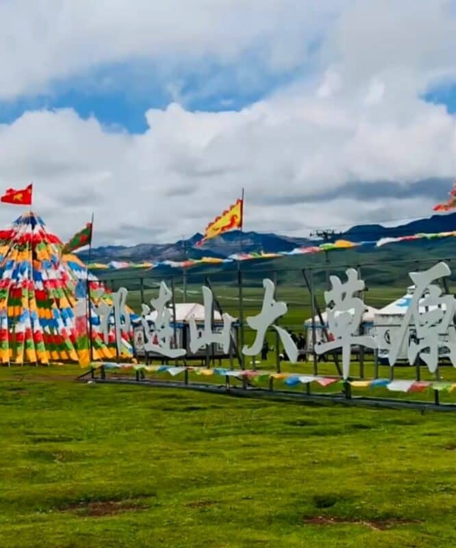 生命树拍摄地 route photo