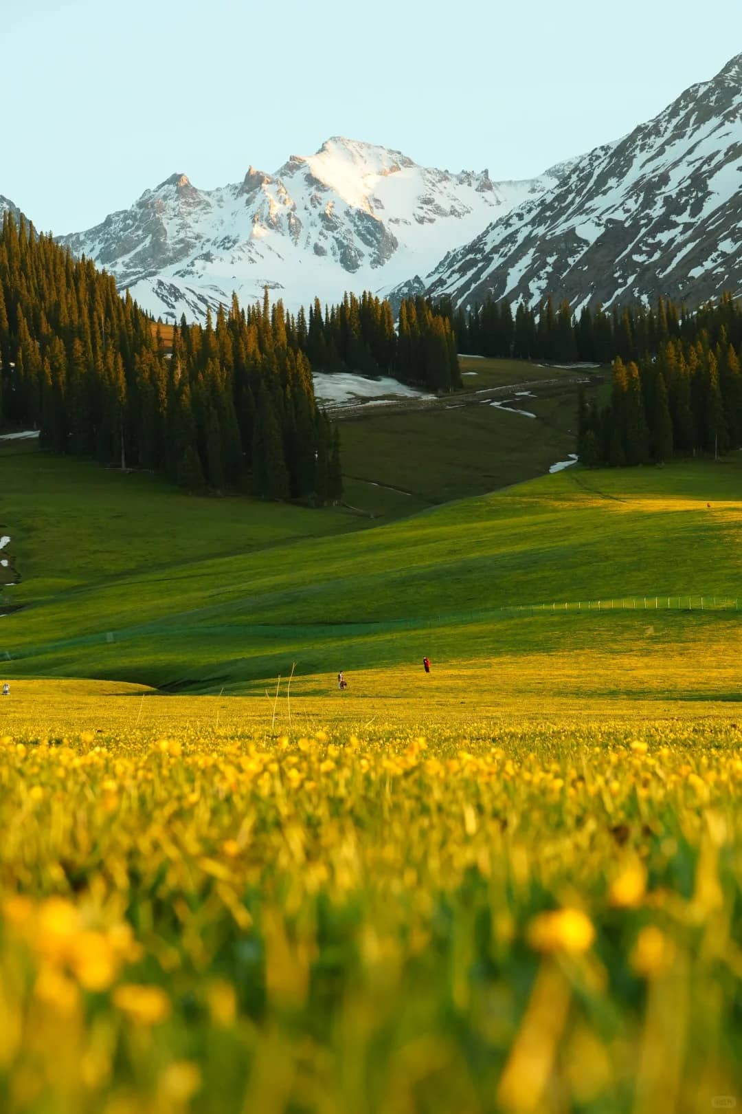 Nalati grassland route photo