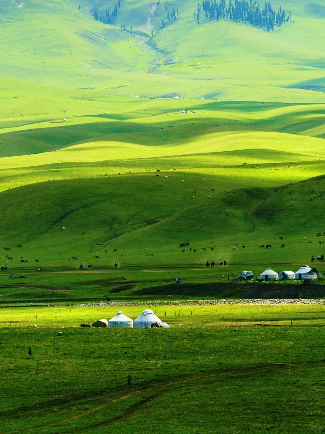 Nalati rolling hills route photo