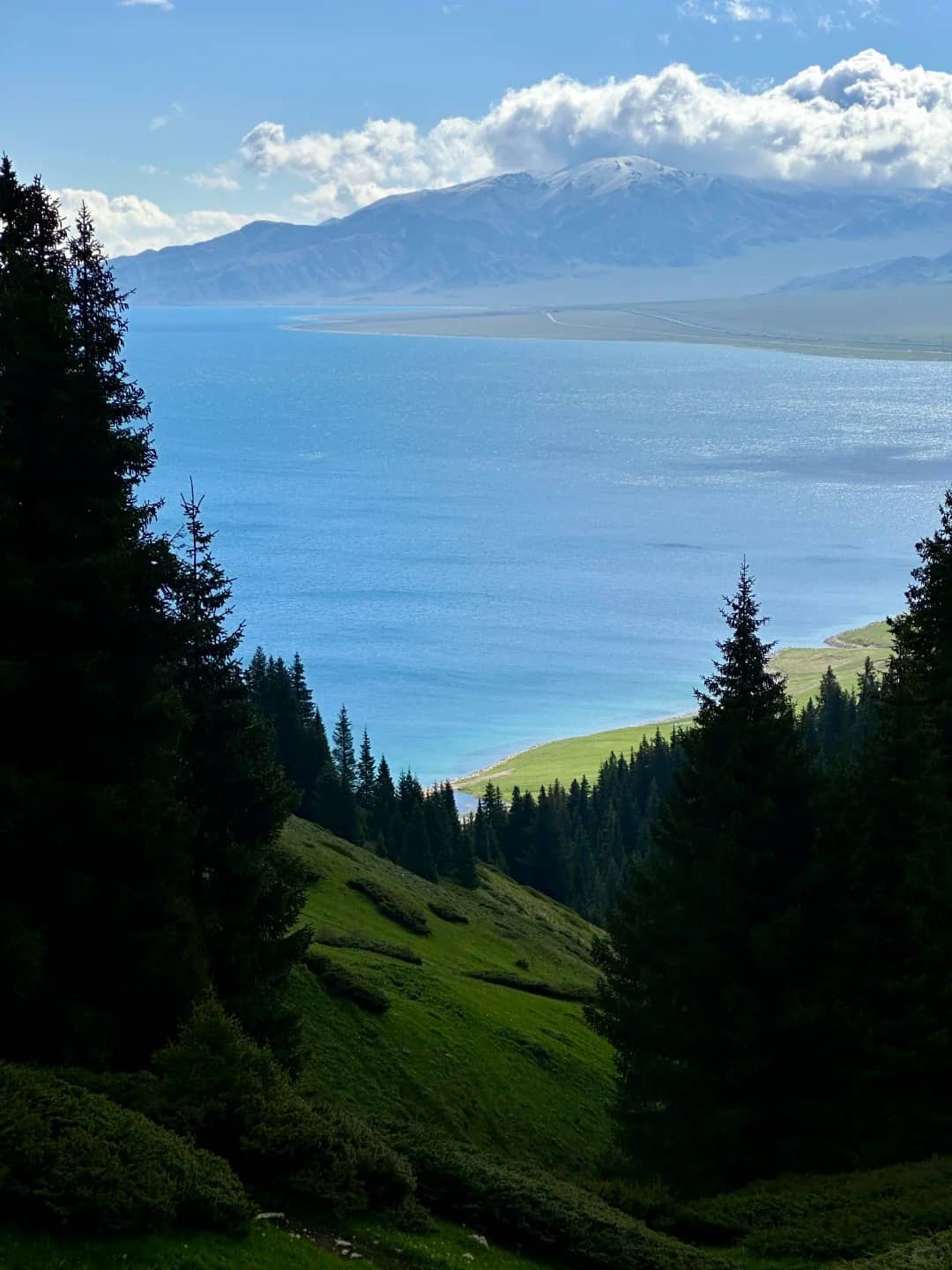 Sai Lake forest edge route photo