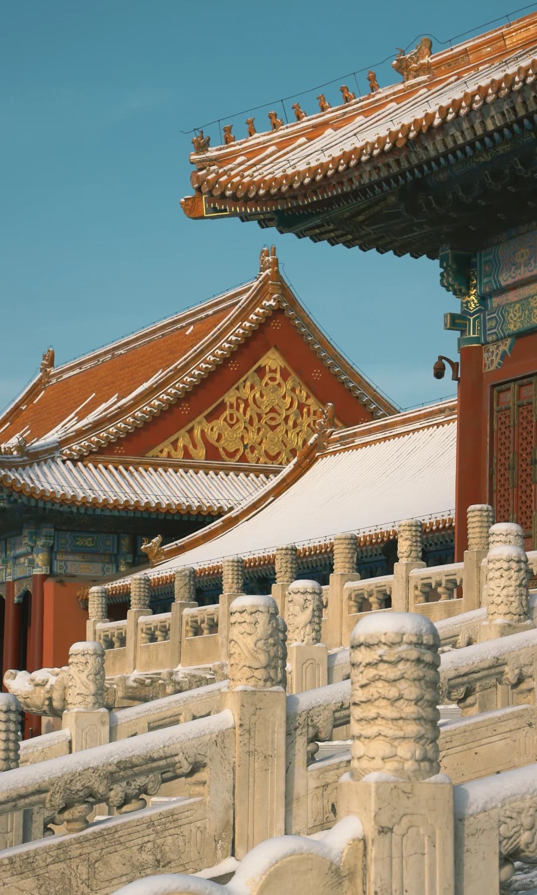Snowy Forbidden City roofs for a classic panda China route