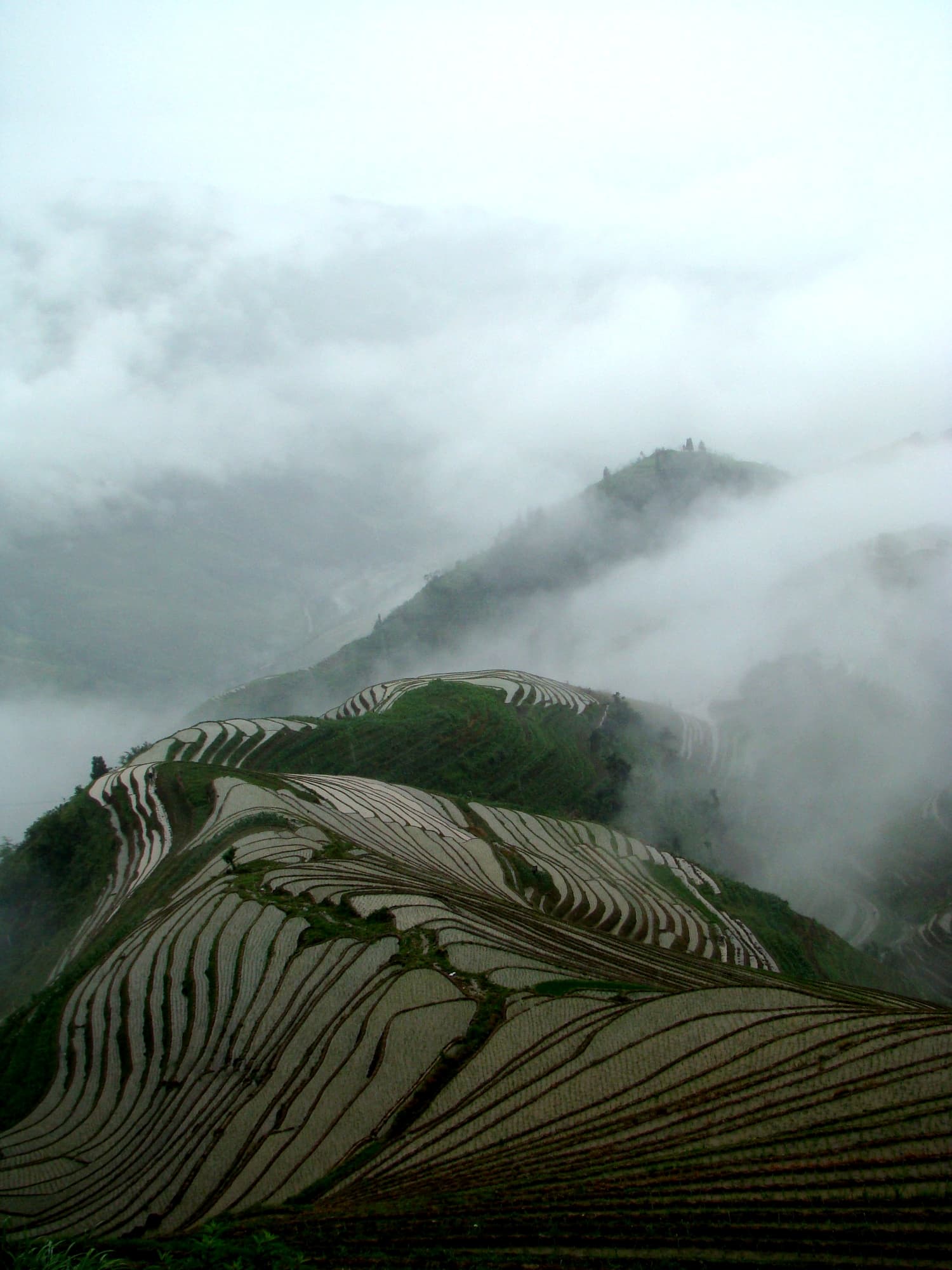 Longji Rice Terraces, Guangxi