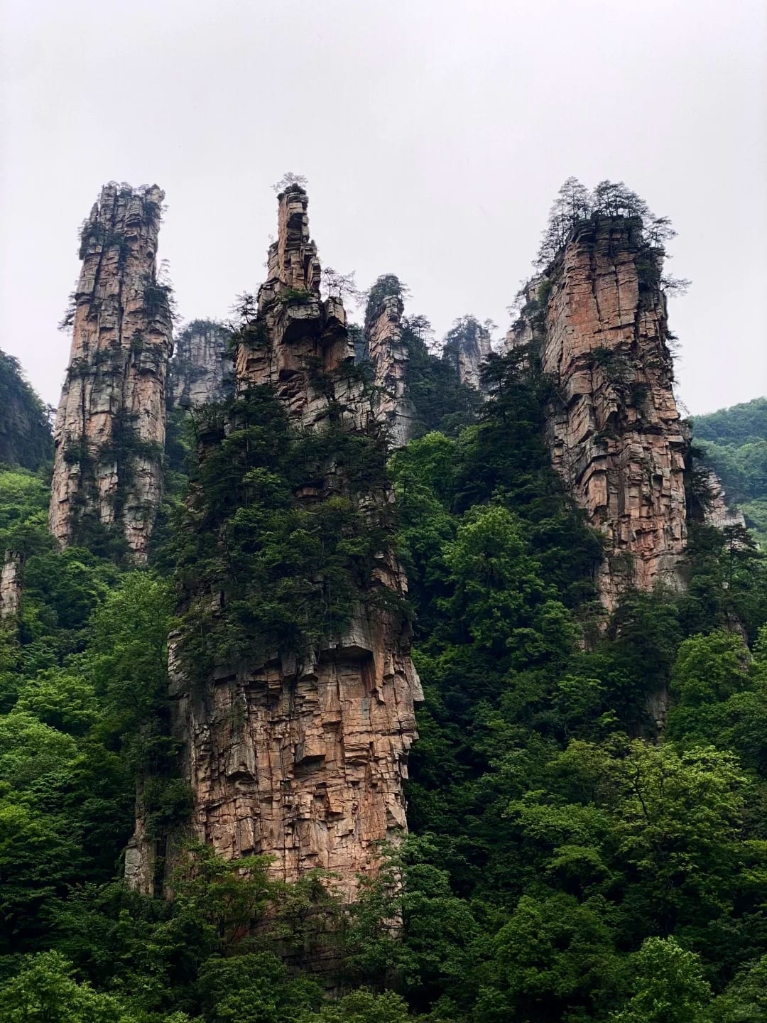 Zhangjiajie forest park pillars route photo