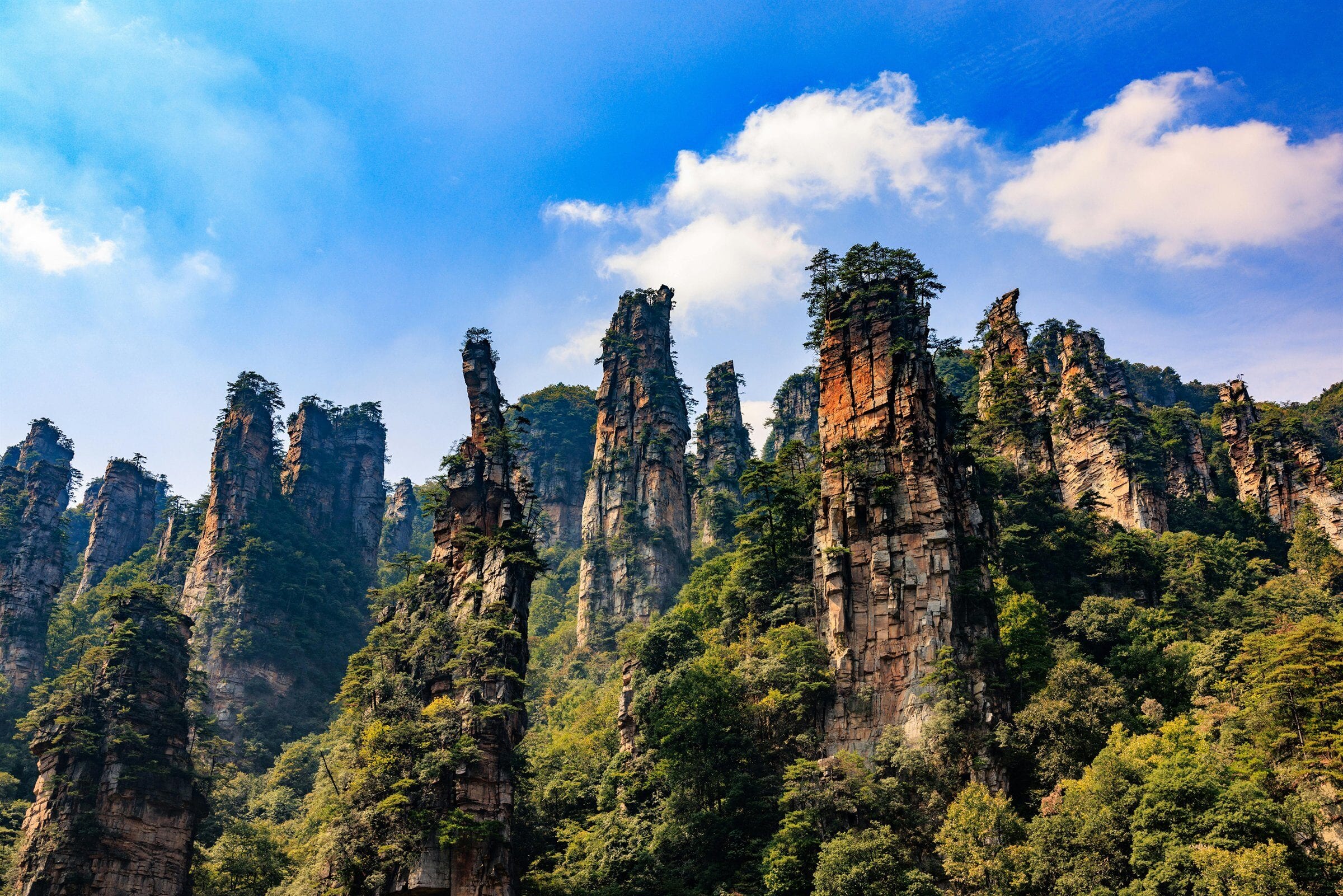 Zhangjiajie forest pillars