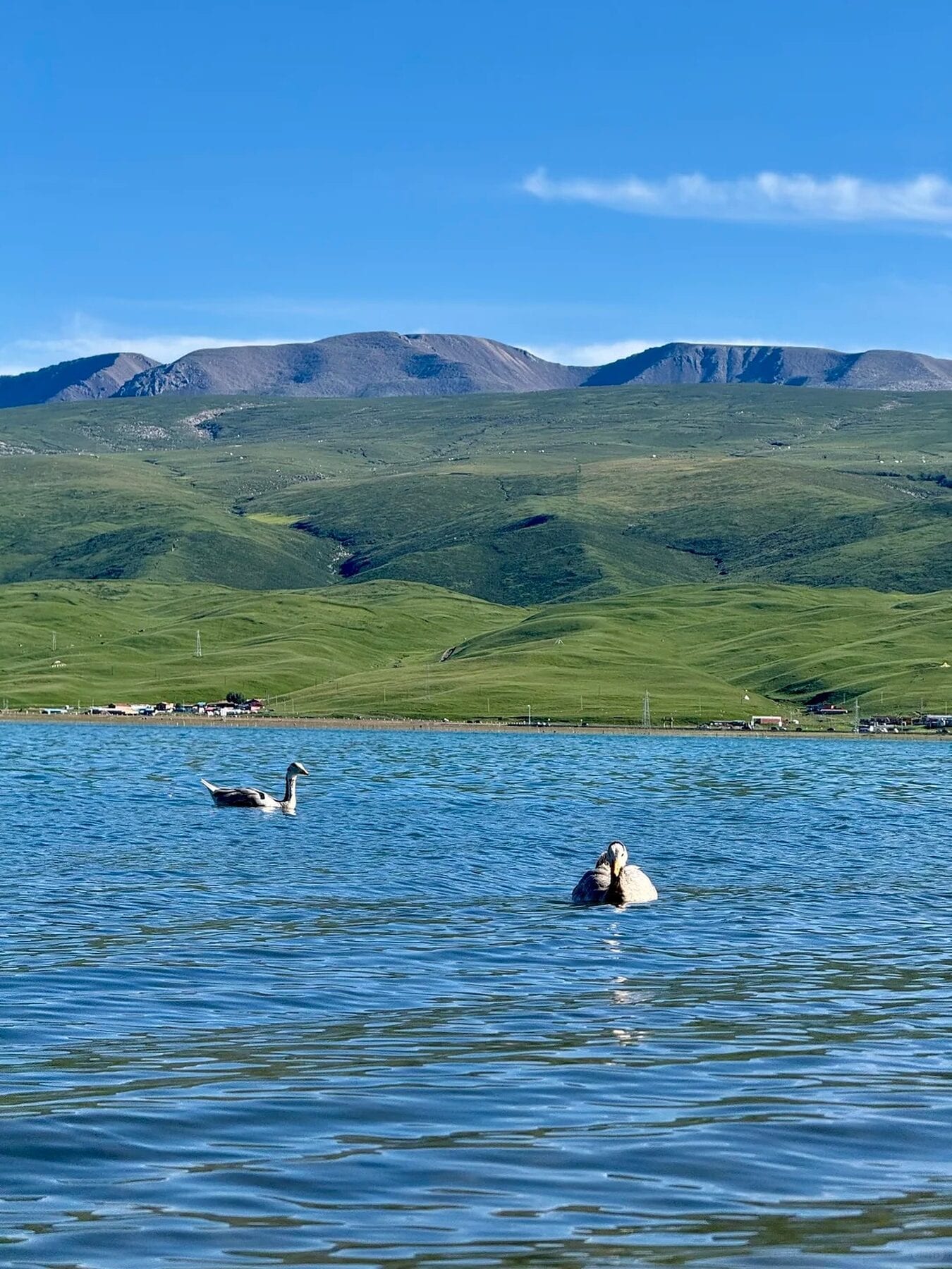 Qinghai Lake Heimahe route photo