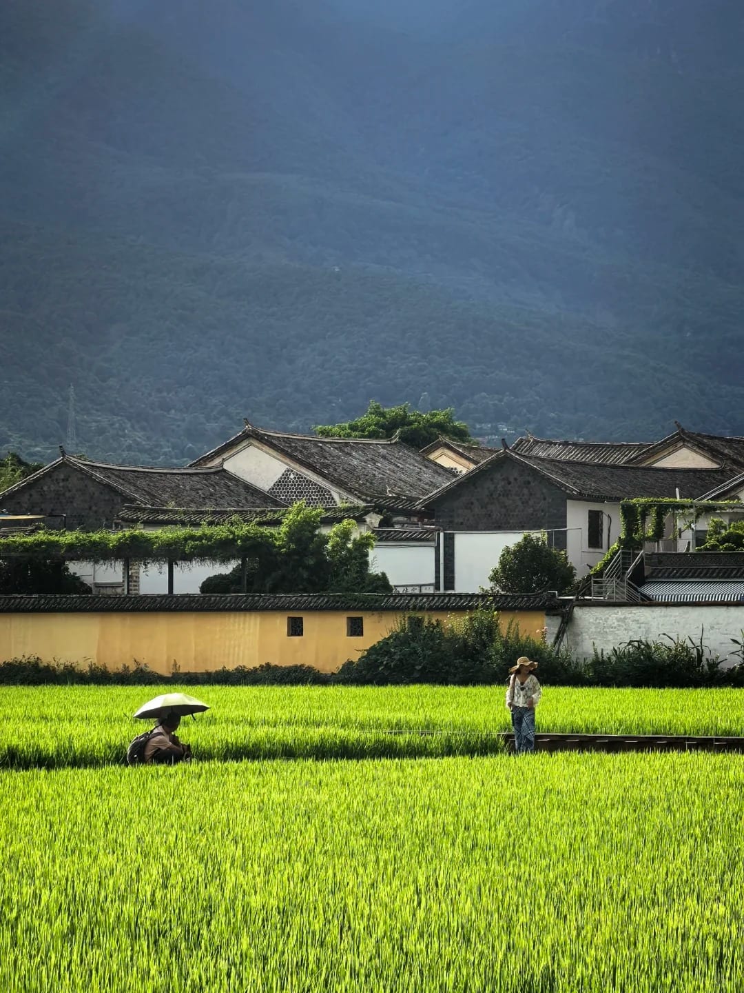 Xizhou village option route photo