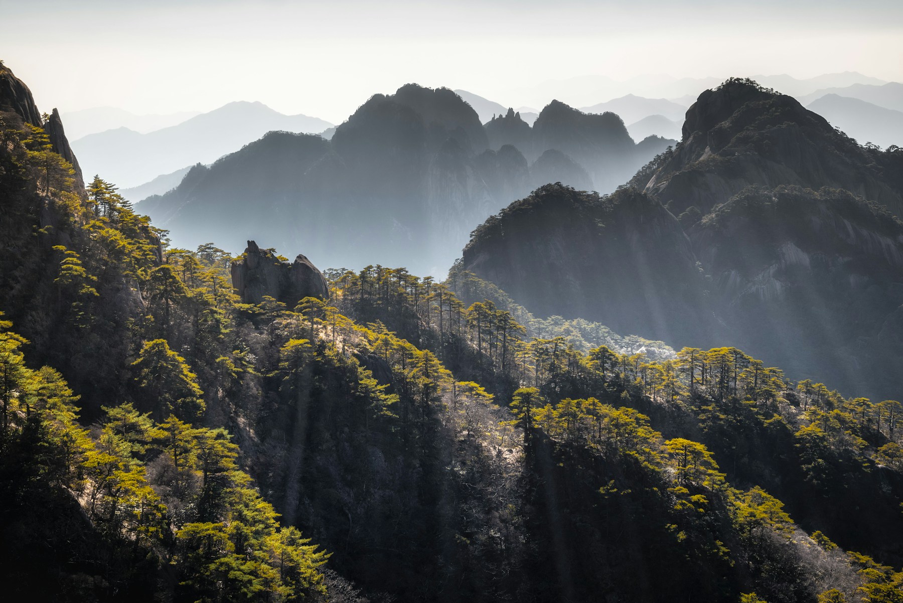 Huangshan cloud sea showing why season matters in China