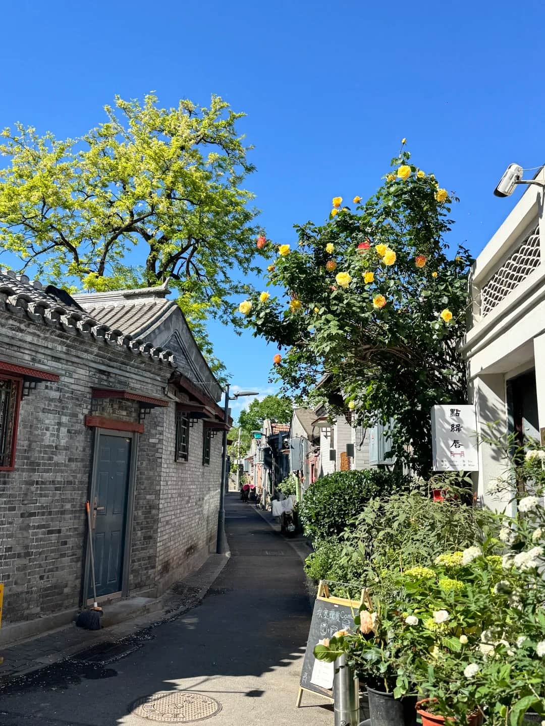 Beijinghutongseveryday-life texture route photo