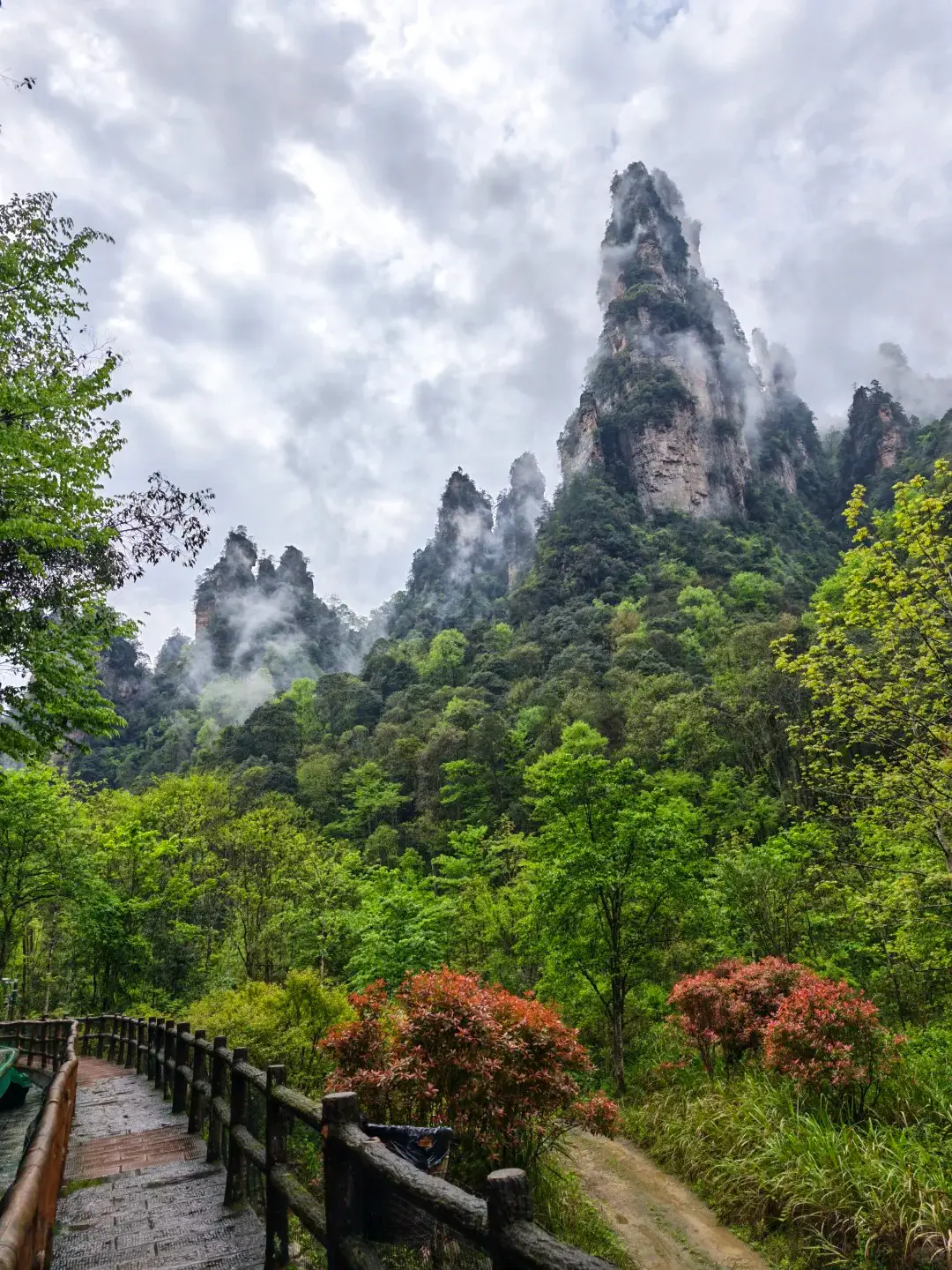 Zhangjiajie sandstone pillars