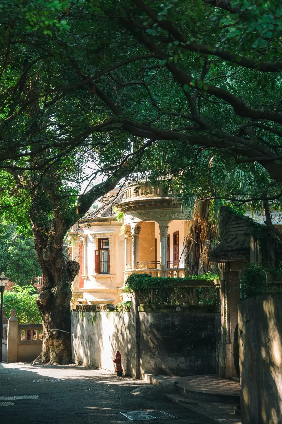 Wuyishan tea mountain route scene