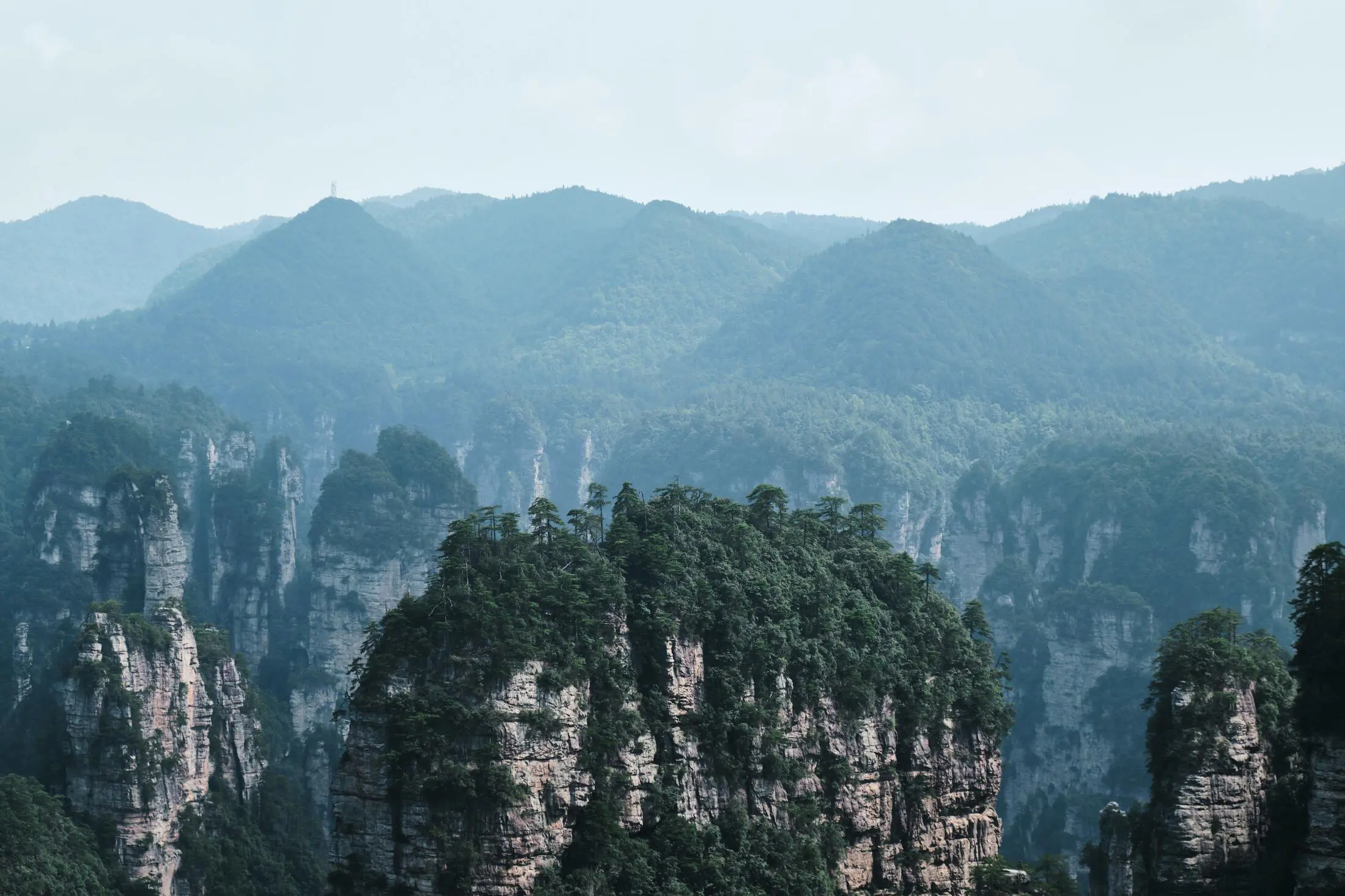 Zhangjiajie mountain forest scenery