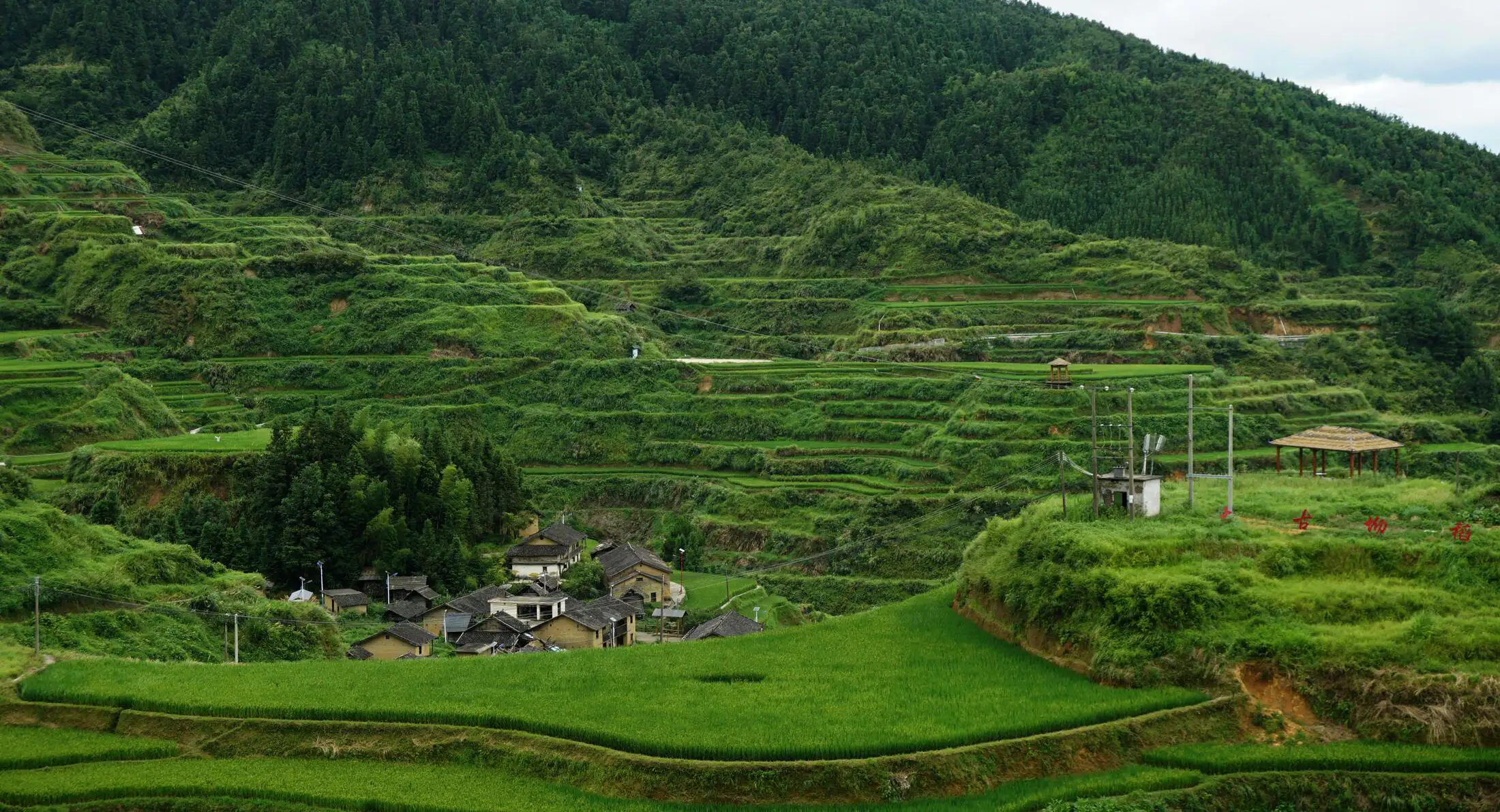 Guizhou Dong village