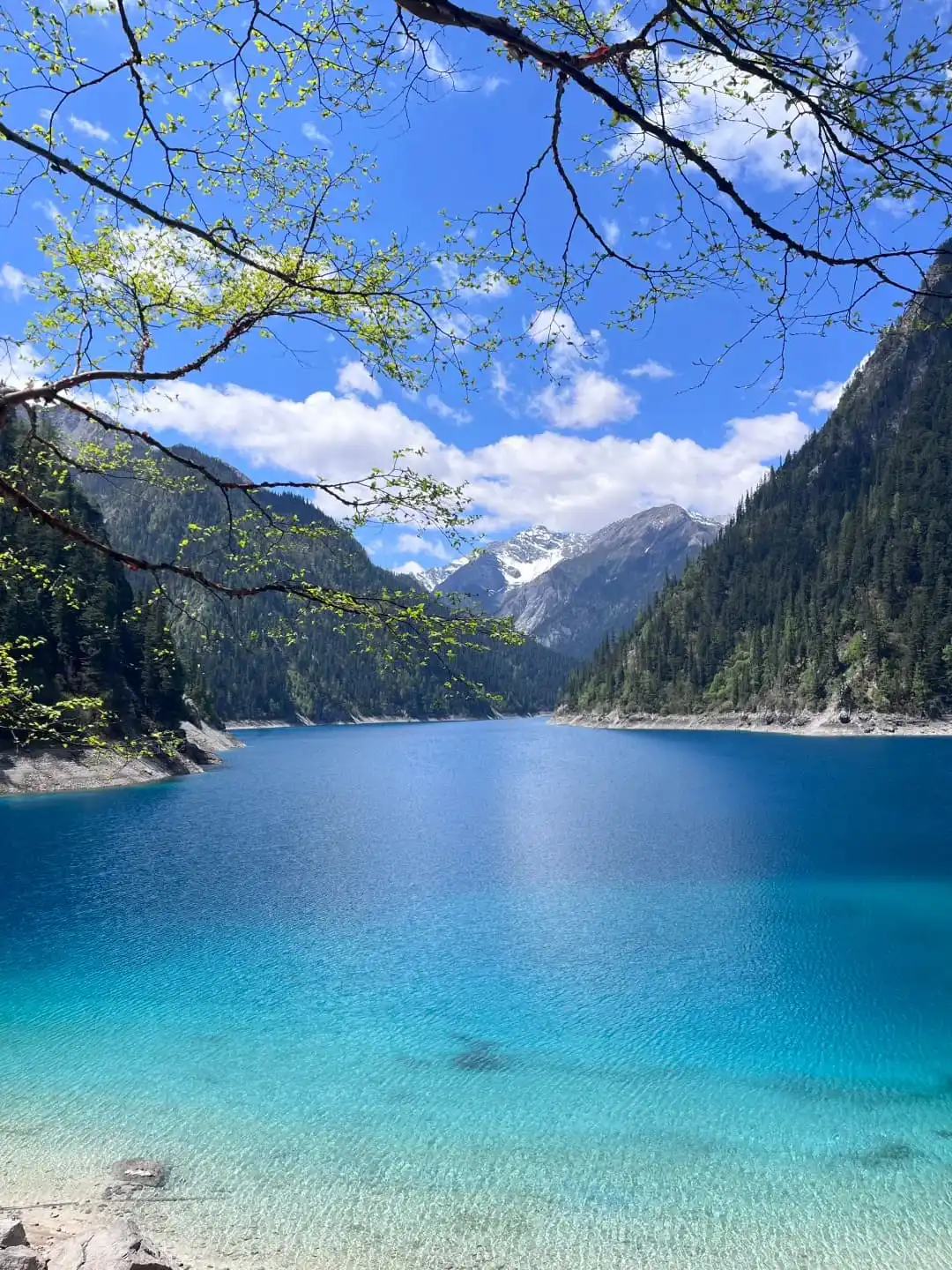 Jiuzhaigou lake and forest route direction for northern Sichuan planning