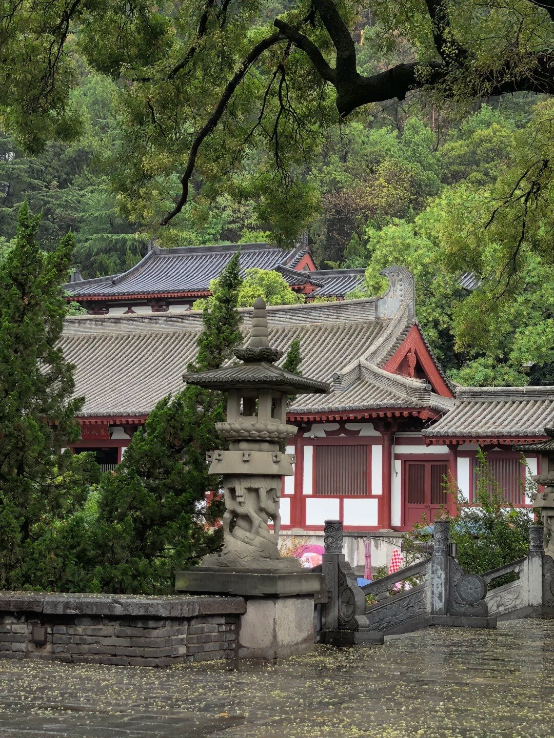 华清宫雨天补景 route photo