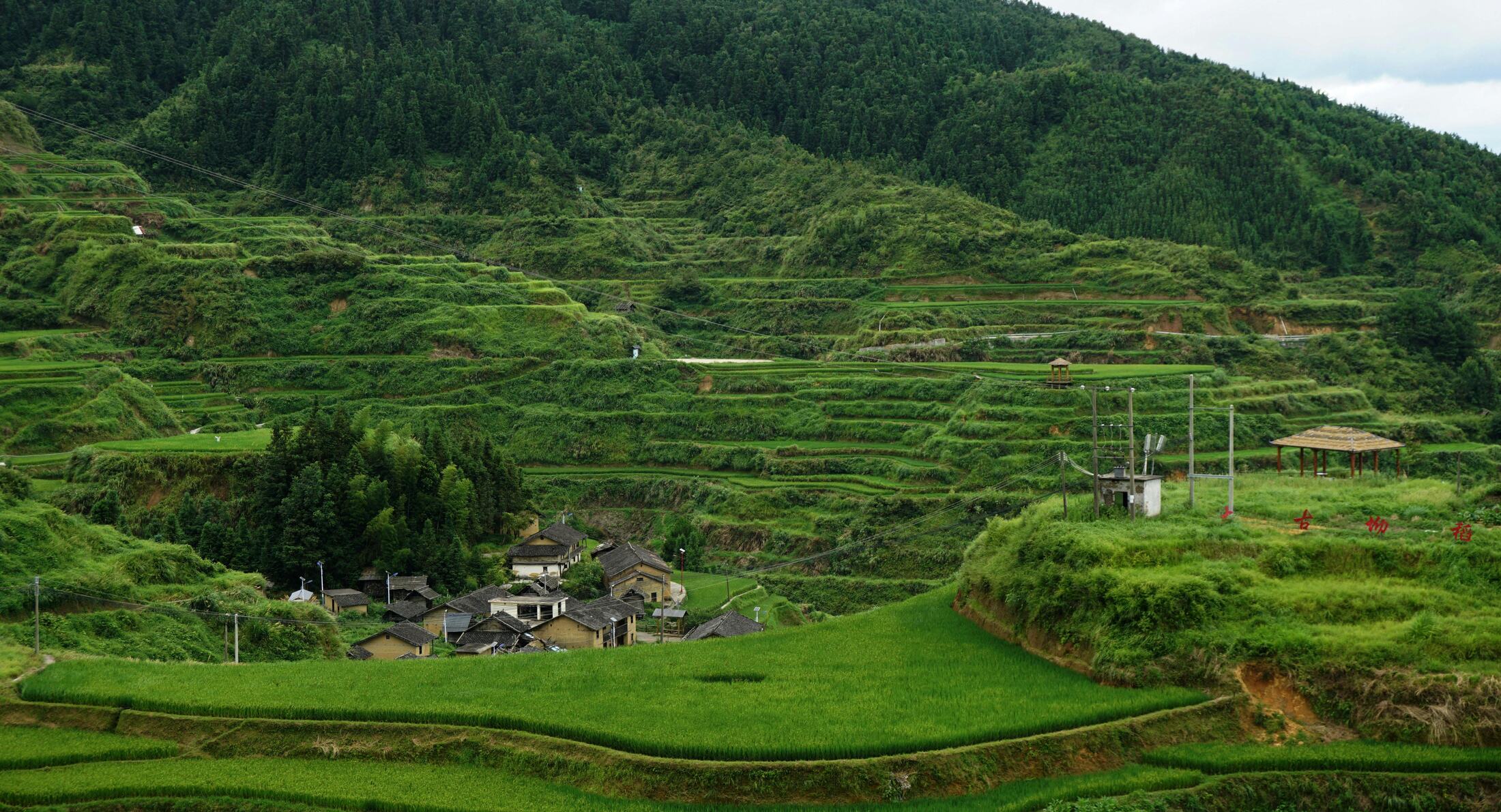 Local Culture Villages