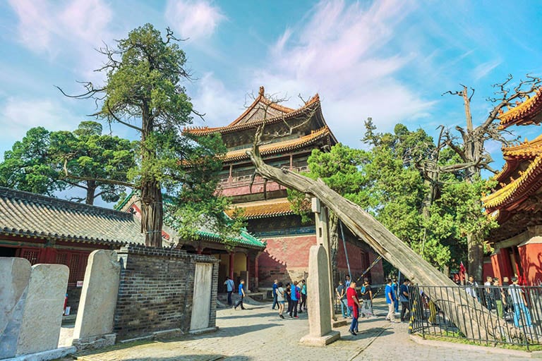 Qufu Confucius heritage spring route photo