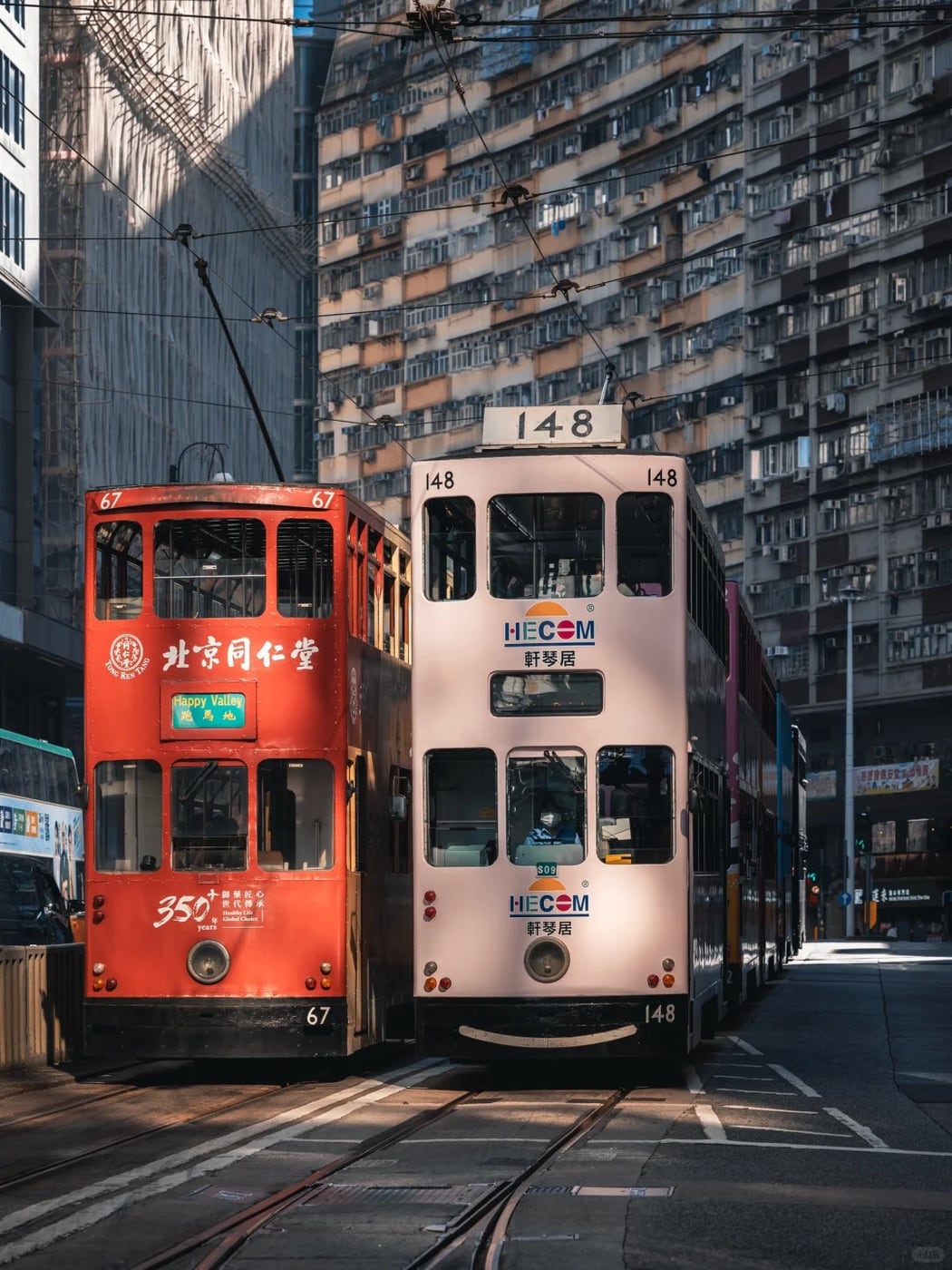 Hong Kong harbor finish route photo