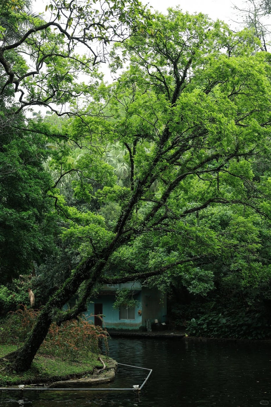 Guangzhou culture and park buffer route photo
