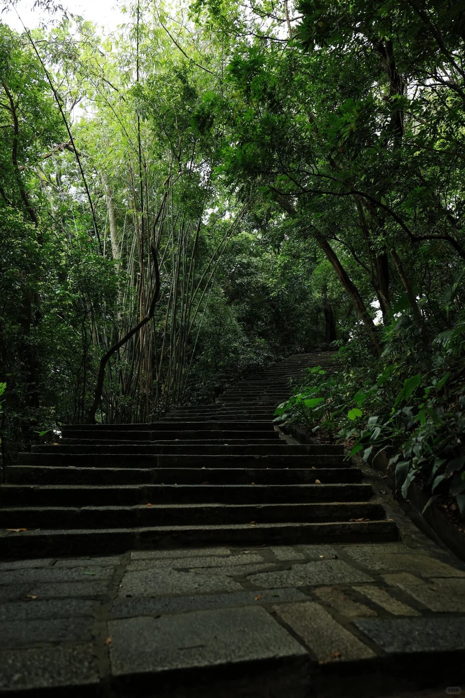 Guangzhou culture and park buffer route photo
