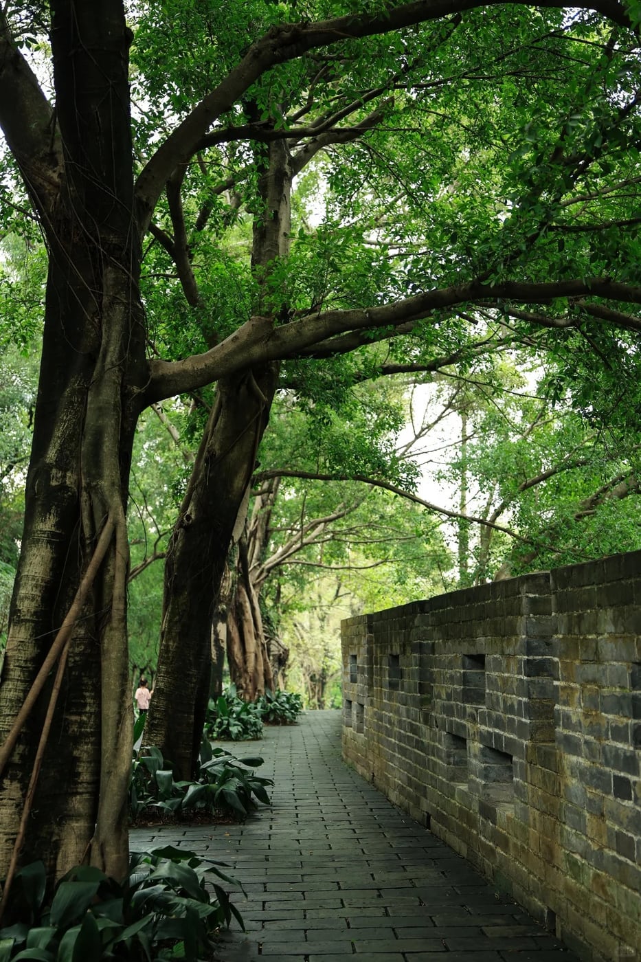 Guangzhou culture and park buffer route photo