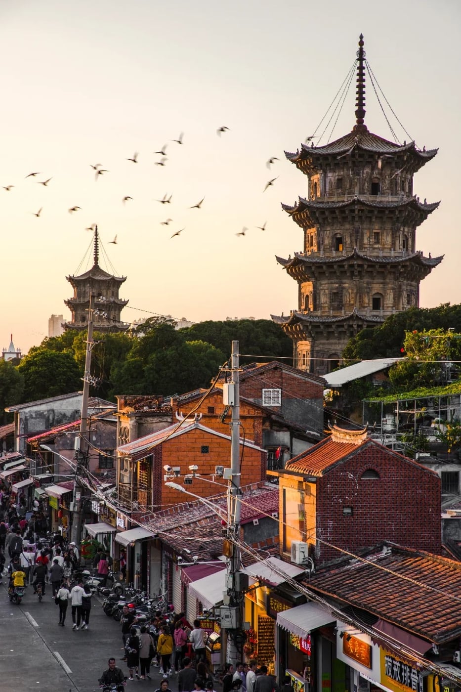 Wuyishan tea mountain layer for a deeper Fujian route