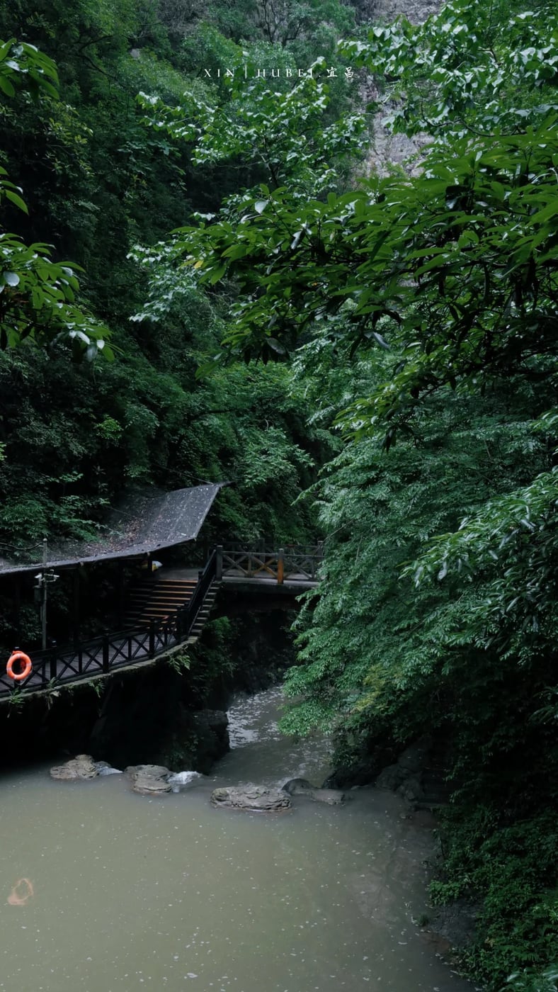 Yangtze shore-excursion buffer route photo