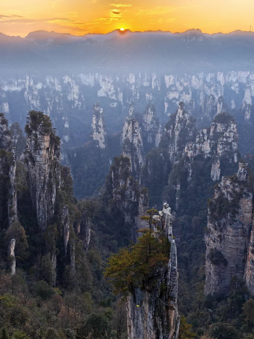 Wulingyuan pillar forest route photo