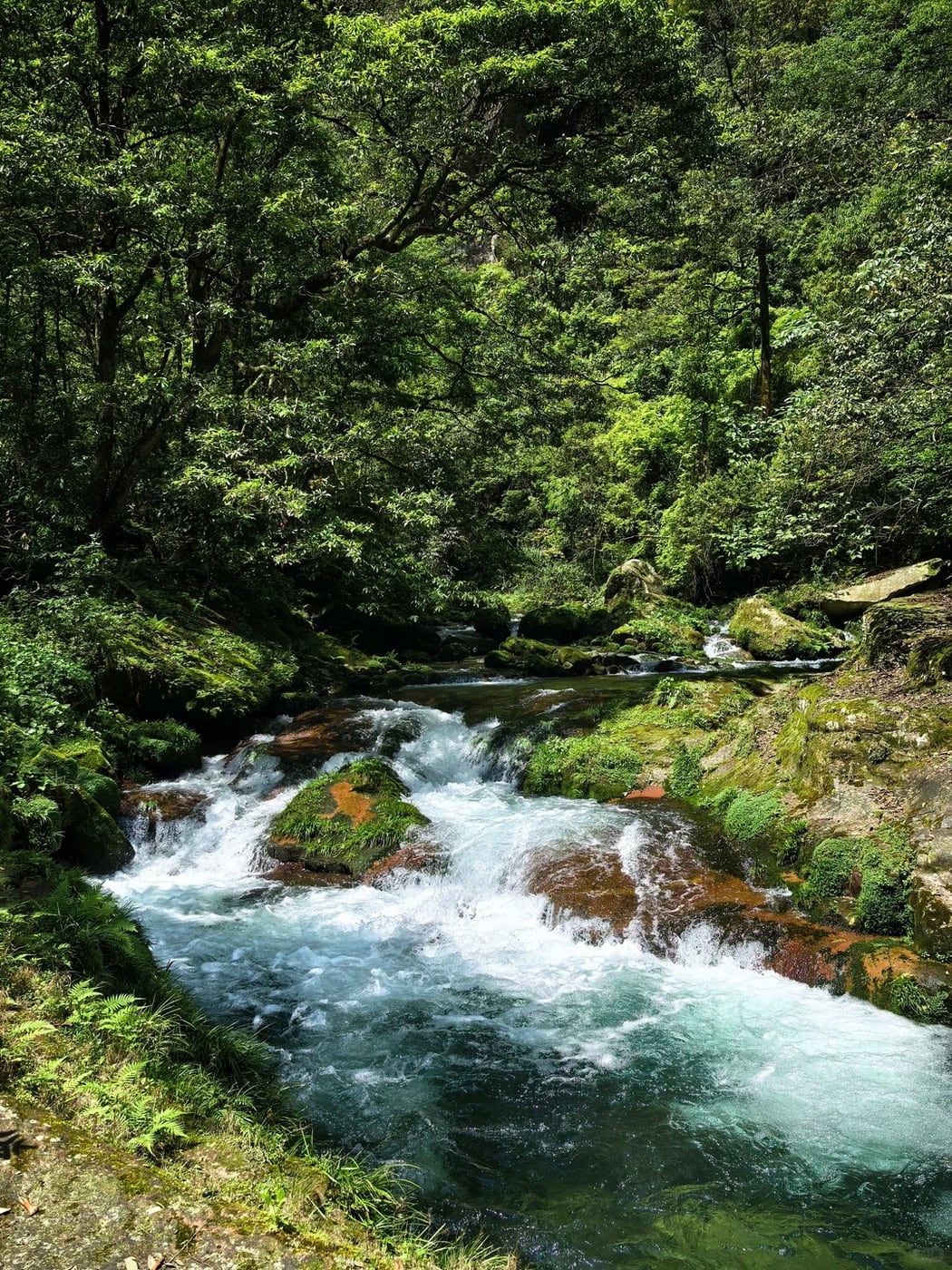 Lower-load Zhangjiajie valley layer route photo