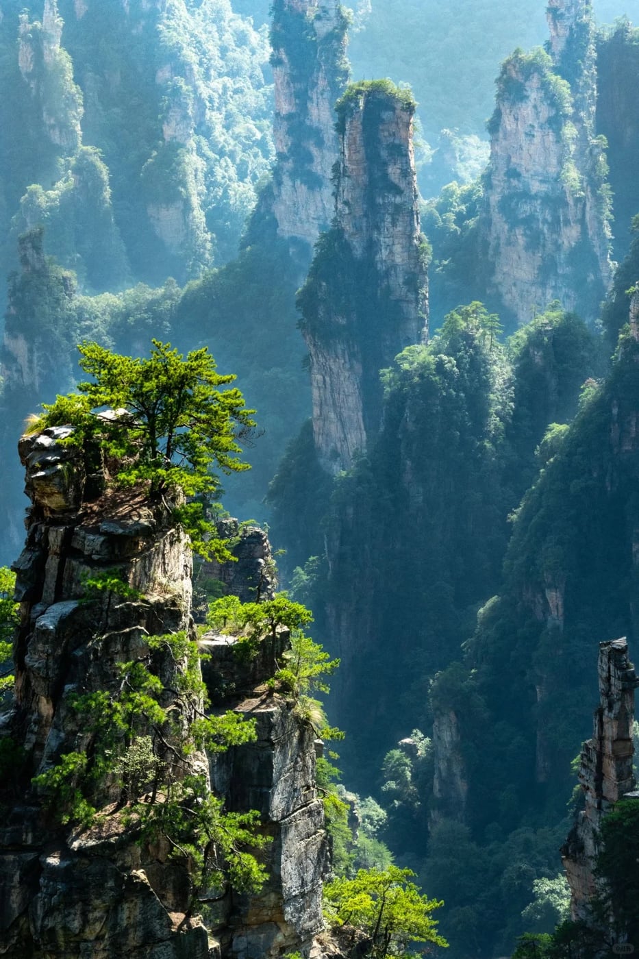 Wulingyuan pillar forest route photo