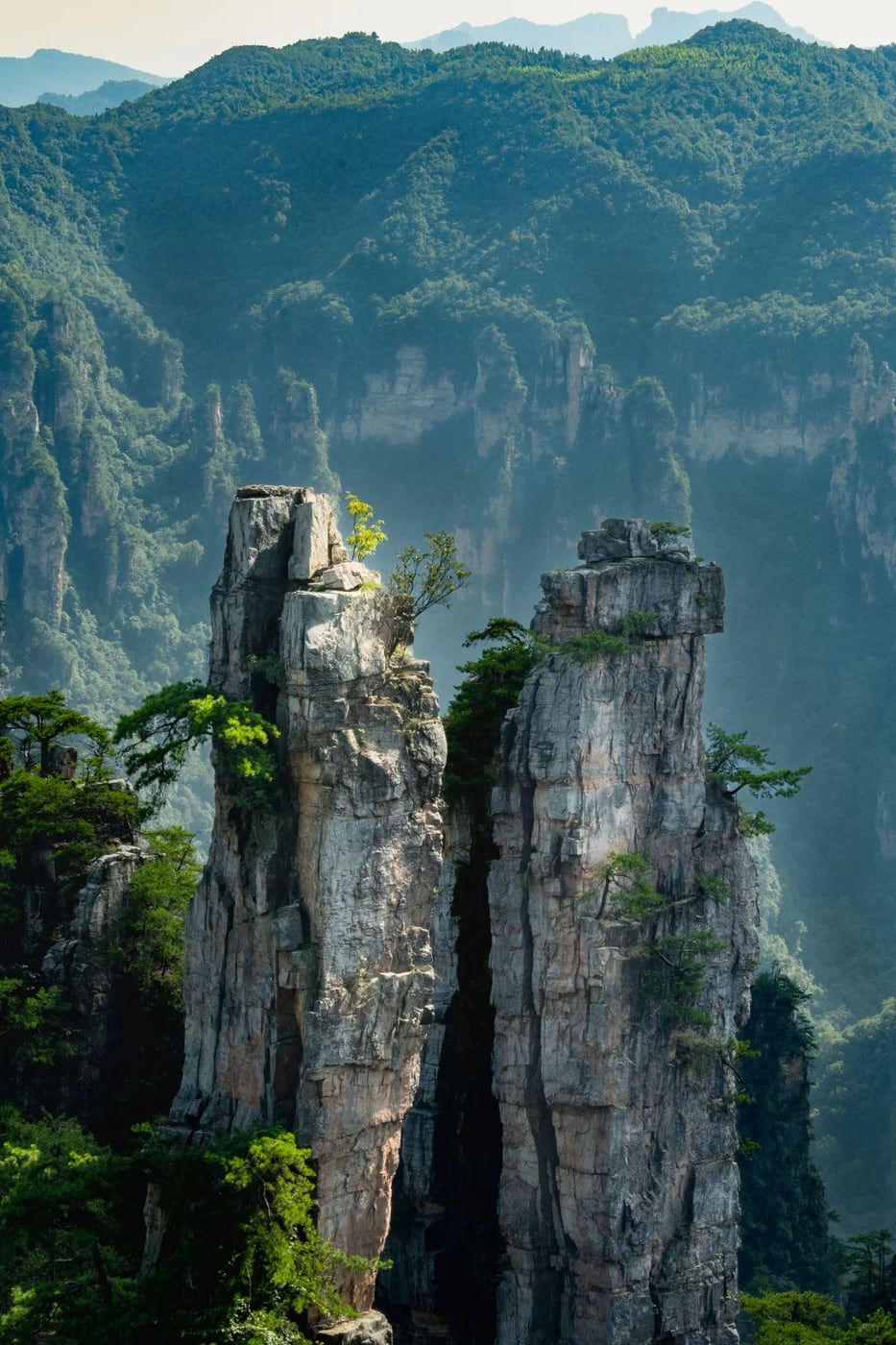 Wulingyuan pillar forest route photo