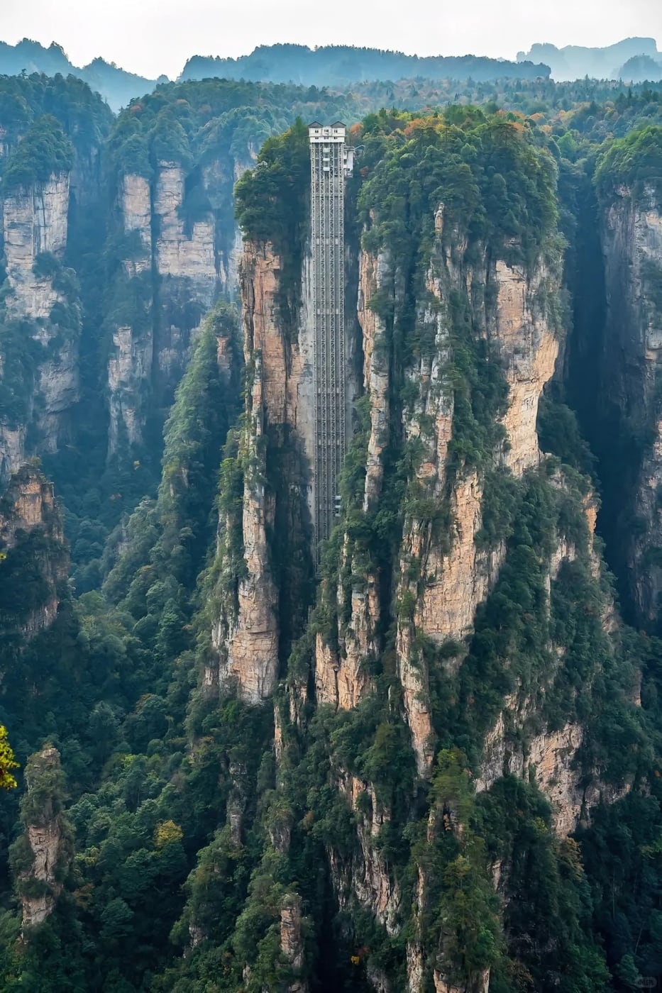 Wulingyuan pillar forest route photo