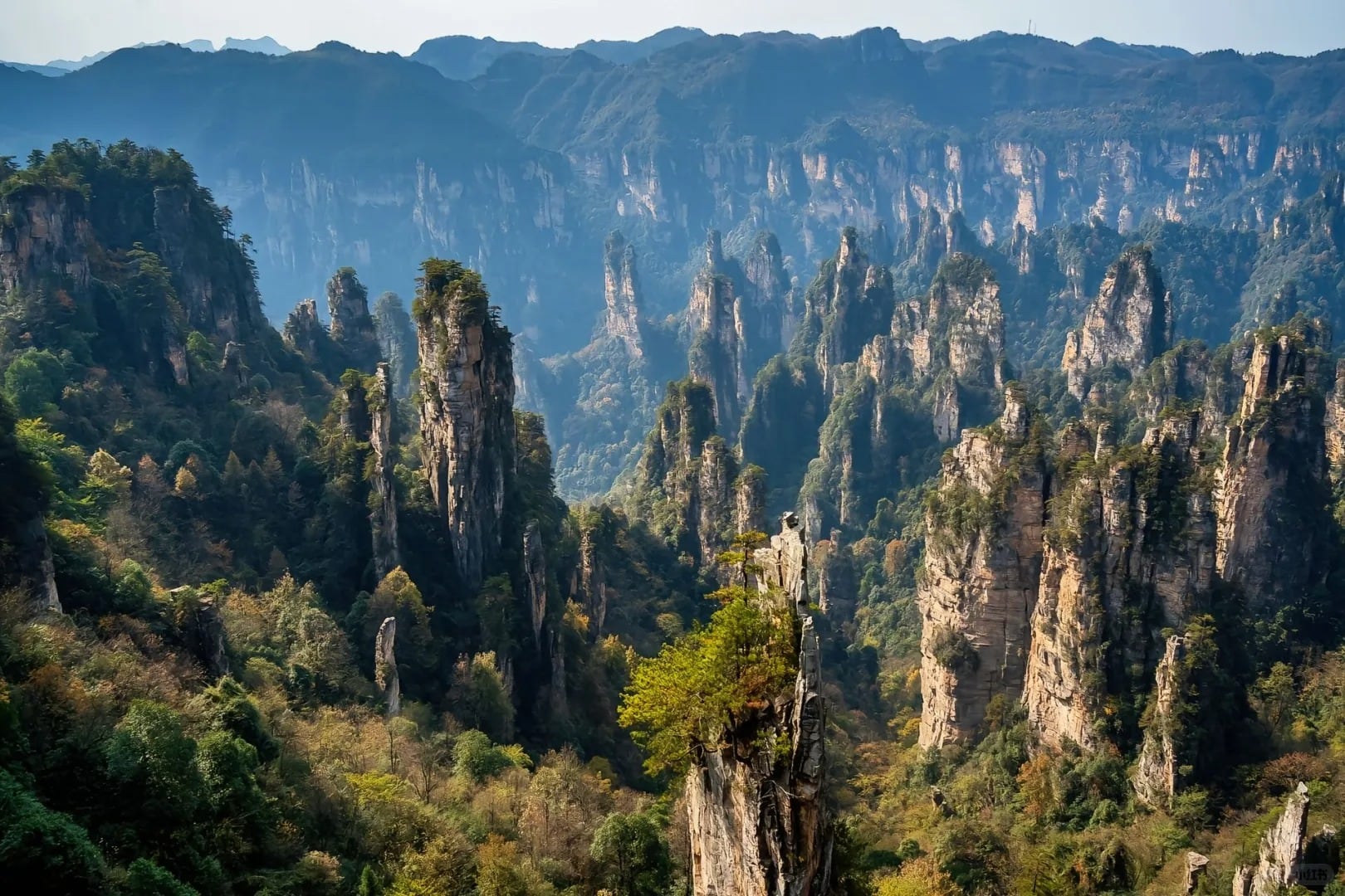 Wulingyuan pillar forest route photo