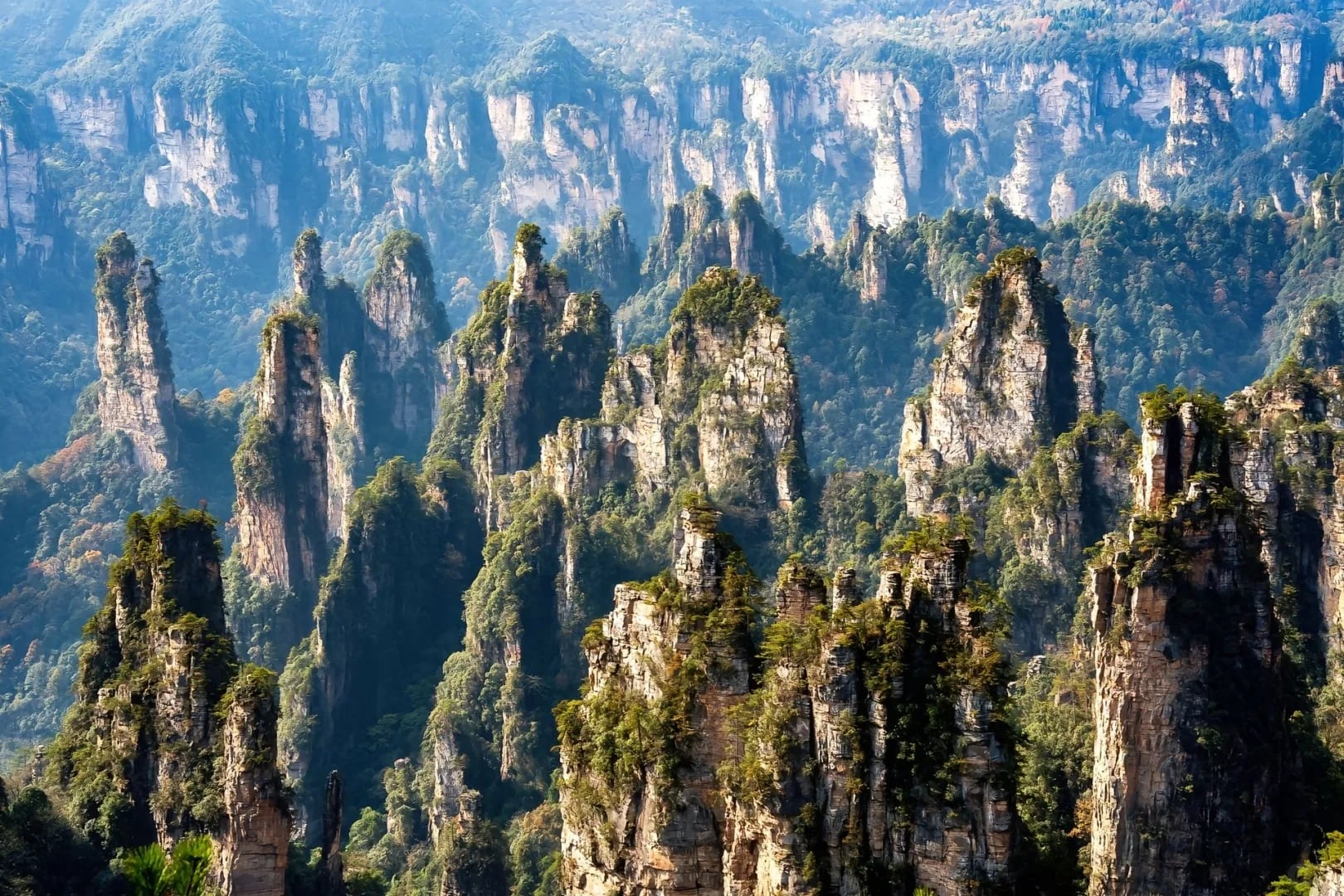 Wulingyuan pillar forest route photo