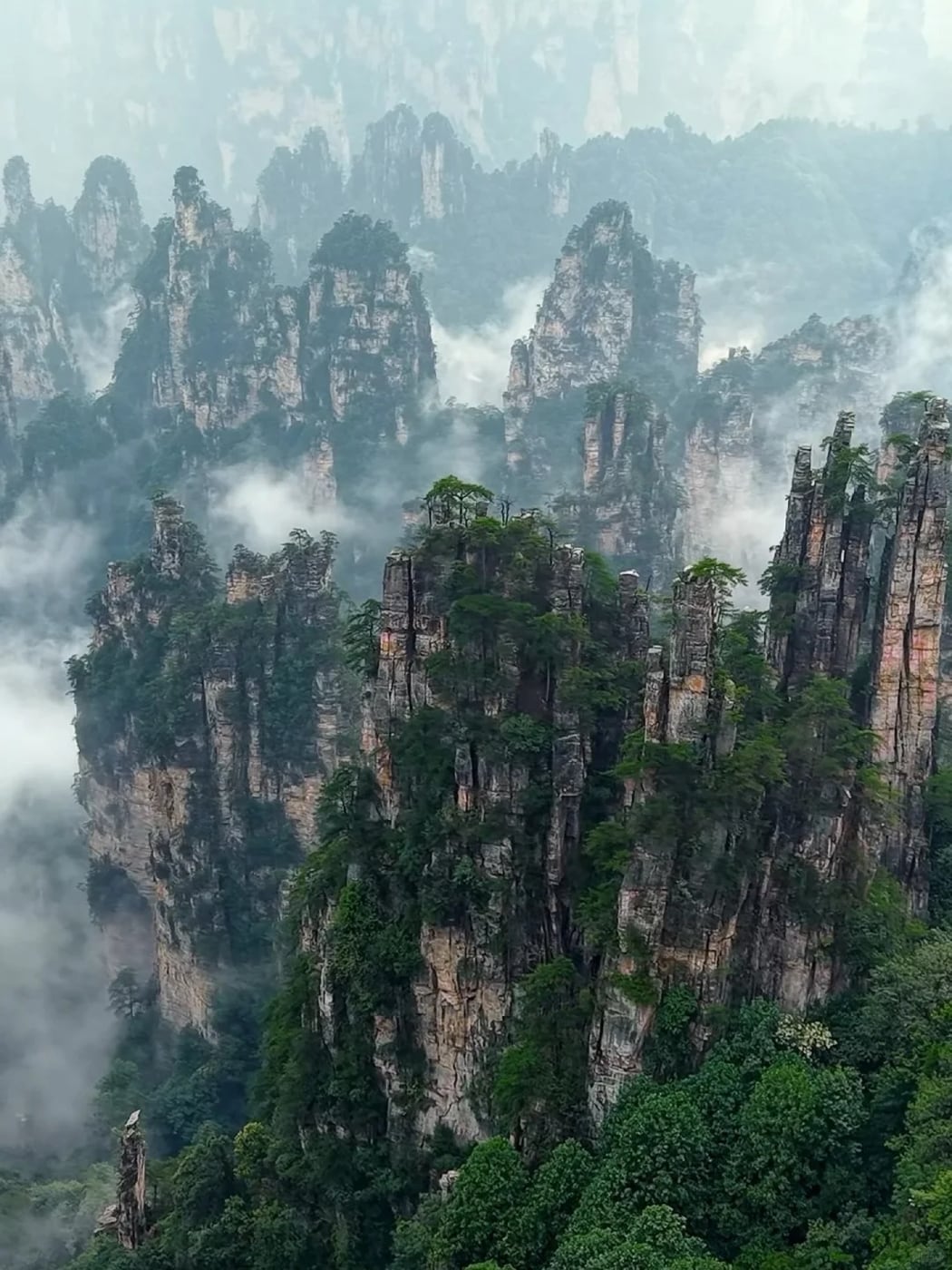 Wulingyuan pillar forest route photo