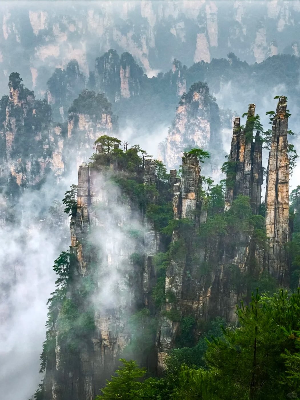Wulingyuan pillar forest route photo