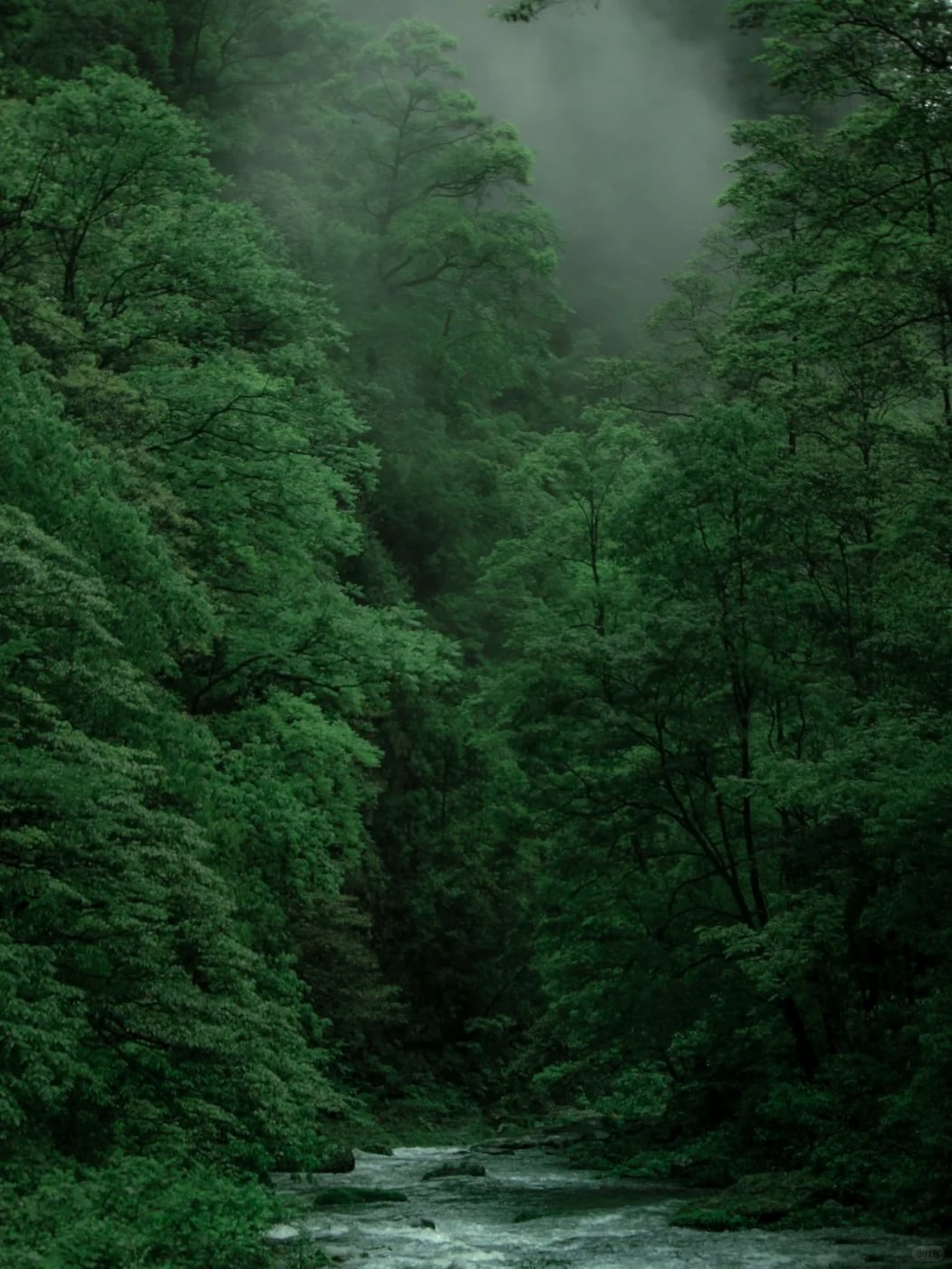 Lower-load Zhangjiajie valley layer route photo