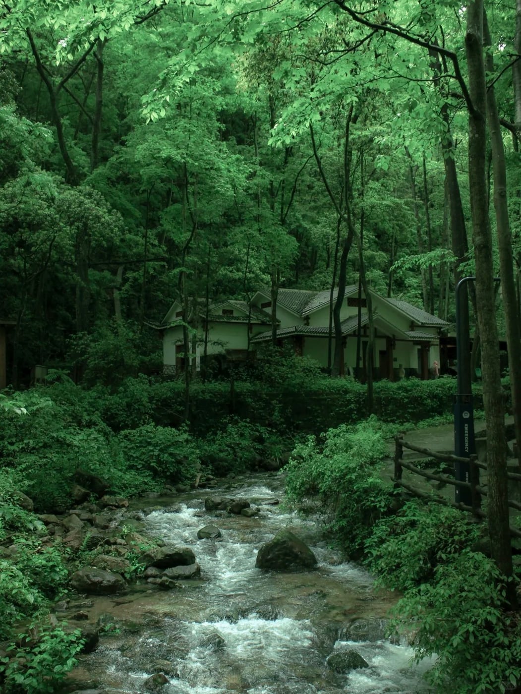 Lower-load Zhangjiajie valley layer route photo