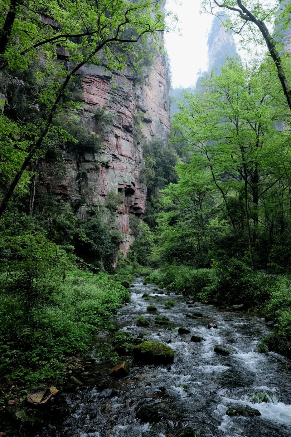 Lower-load Zhangjiajie valley layer route photo