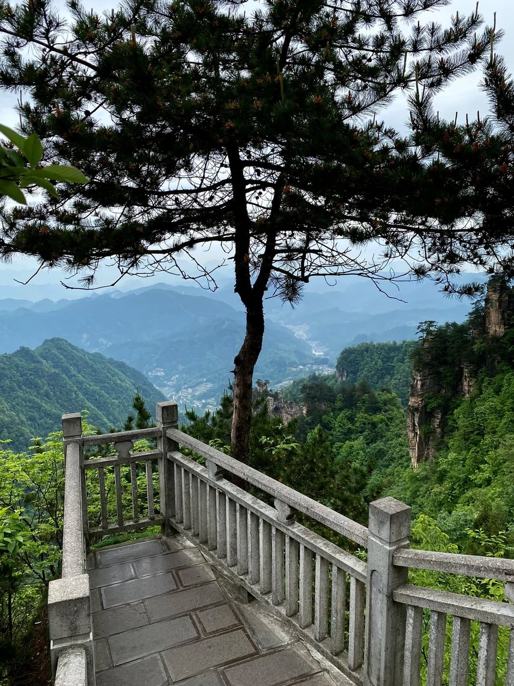 Wulingyuan pillar forest route photo