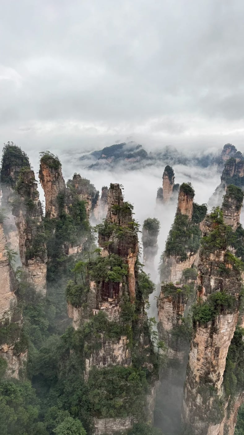 Wulingyuan pillar forest route photo