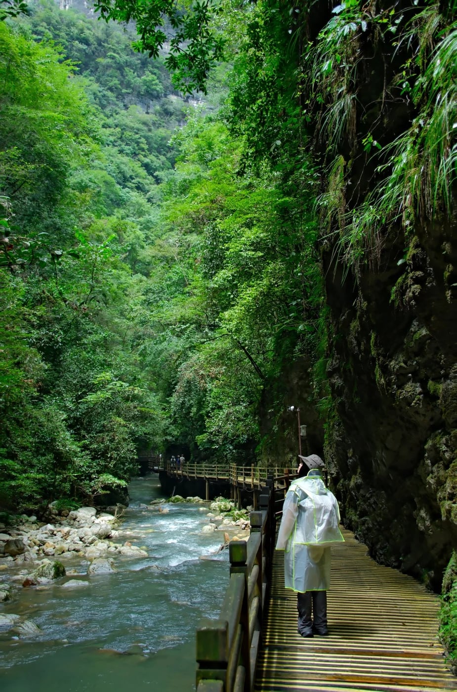 Lower-load Zhangjiajie valley layer route photo
