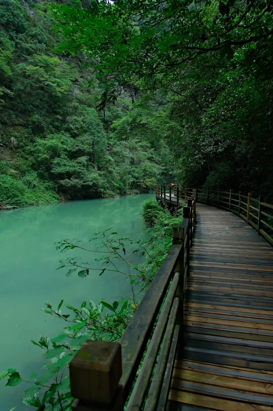 Lower-load Zhangjiajie valley layer route photo
